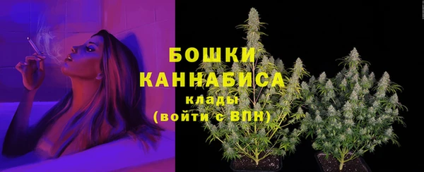 ешки Дубна