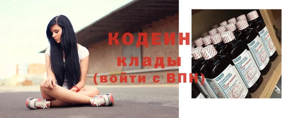 ешки Дубна