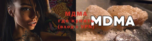 ешки Дубна
