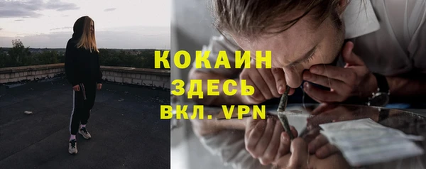 ешки Дубна